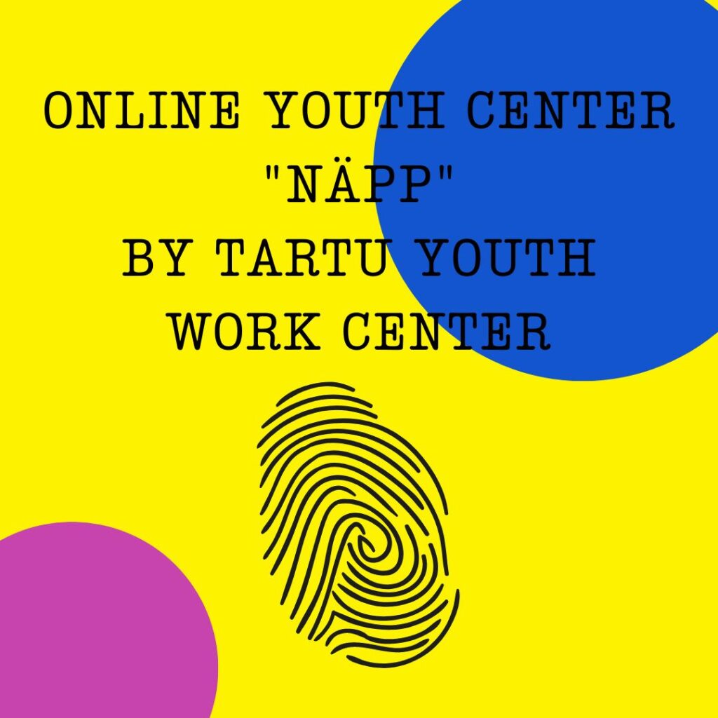 Online youth center “NÄPP” by Tartu Youth Work Center — photo 1 of 1